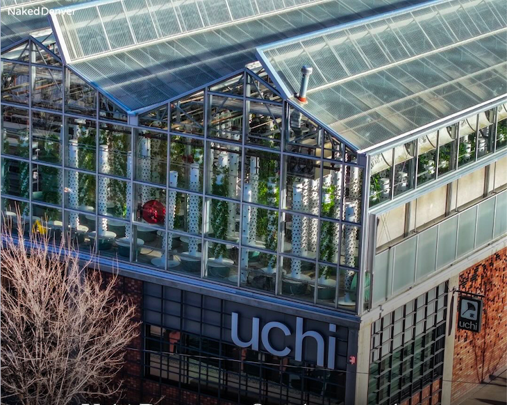 Uchi Expansion the Intimate Dining Experience in Five Points